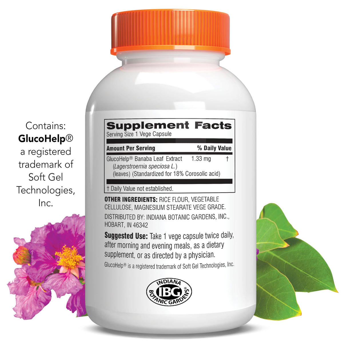 Botanic Choice GlucoHelp Banaba Leaf Extract - 60 Capsules - image 3