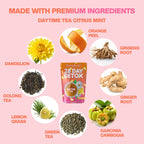 SkinnyBoost 28 Day Detox Daytime Tea Citrus Mint - 28 Tea Bags - image 3