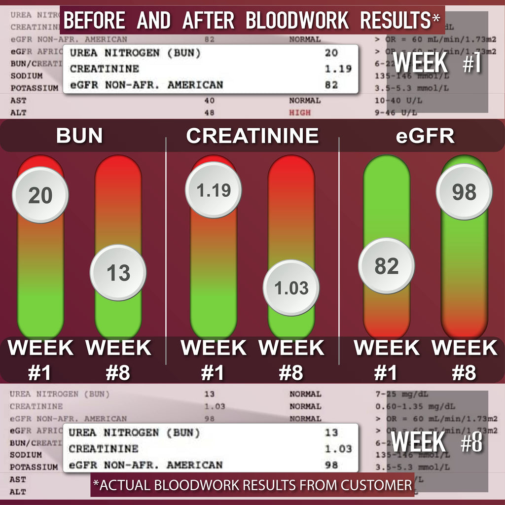 Leviathan Super Kidney Cleanse & Urinary Detox Formula - image 4