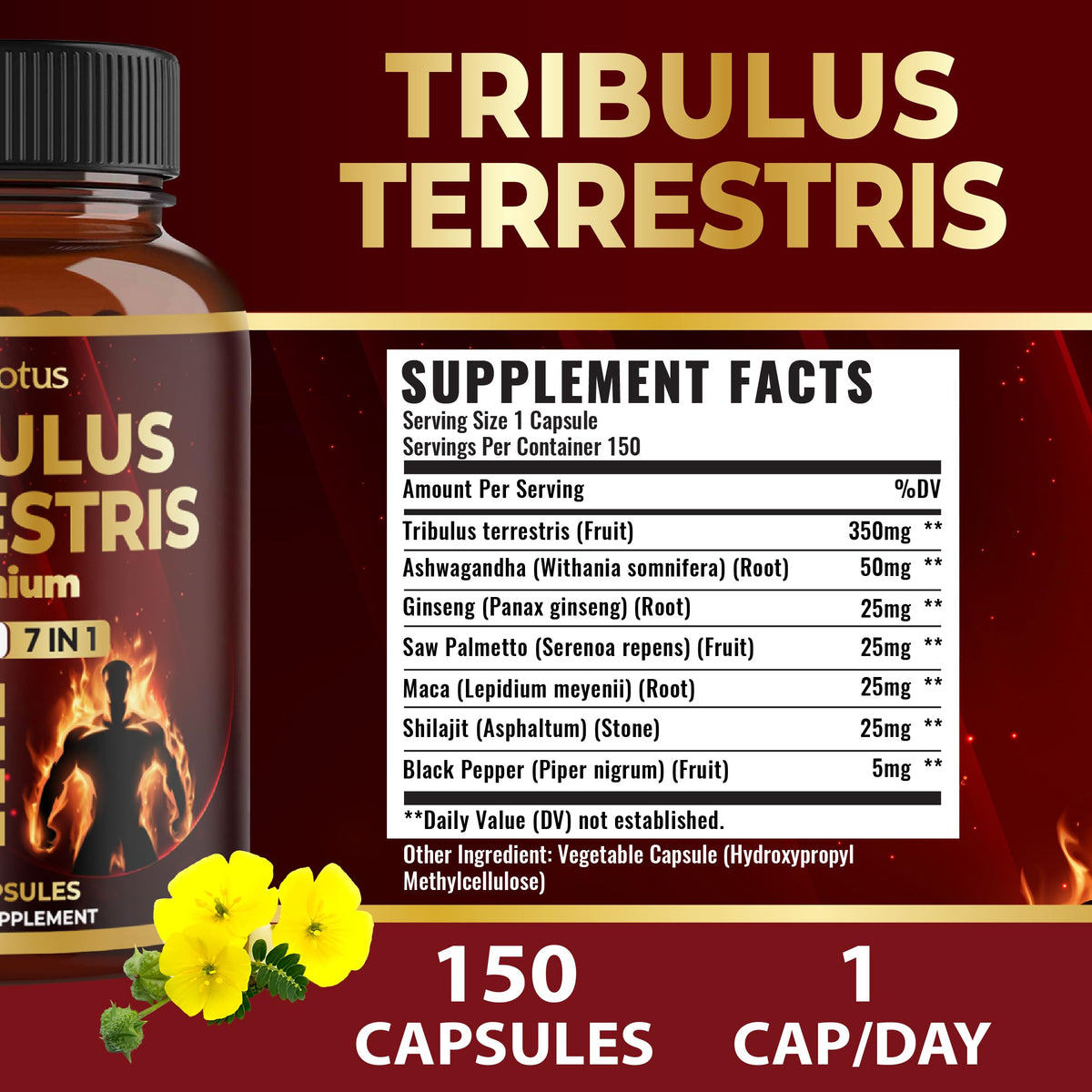 Zolotus HERBAL_SUPPLEMENT