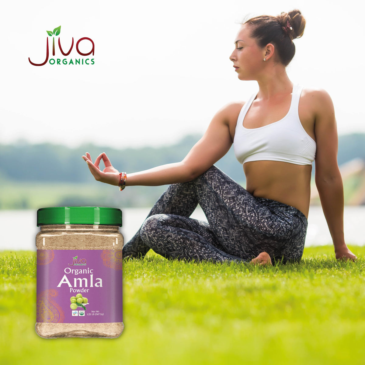 Jiva Organics Organic Amla Powder Vitamin C - 20 oz - image 8