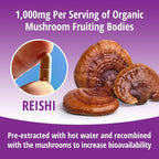 ENCAPSULATE Reishi 1000mg Mushroom Extract - 60 Vegan Capsules - image 6