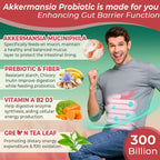 Nextdia Akkermansia Probiotics Gummies with Prebiotics - 60 Count - image 5
