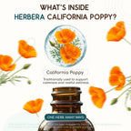 HerbEra USDA Organic California Poppy Liquid Extract - 4 fl oz - image 4