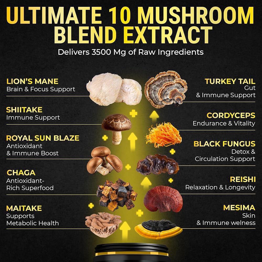 KEY ELEMENTS Mushroom Supplement with Lion's Mane, Reishi & Cordyceps - image 5