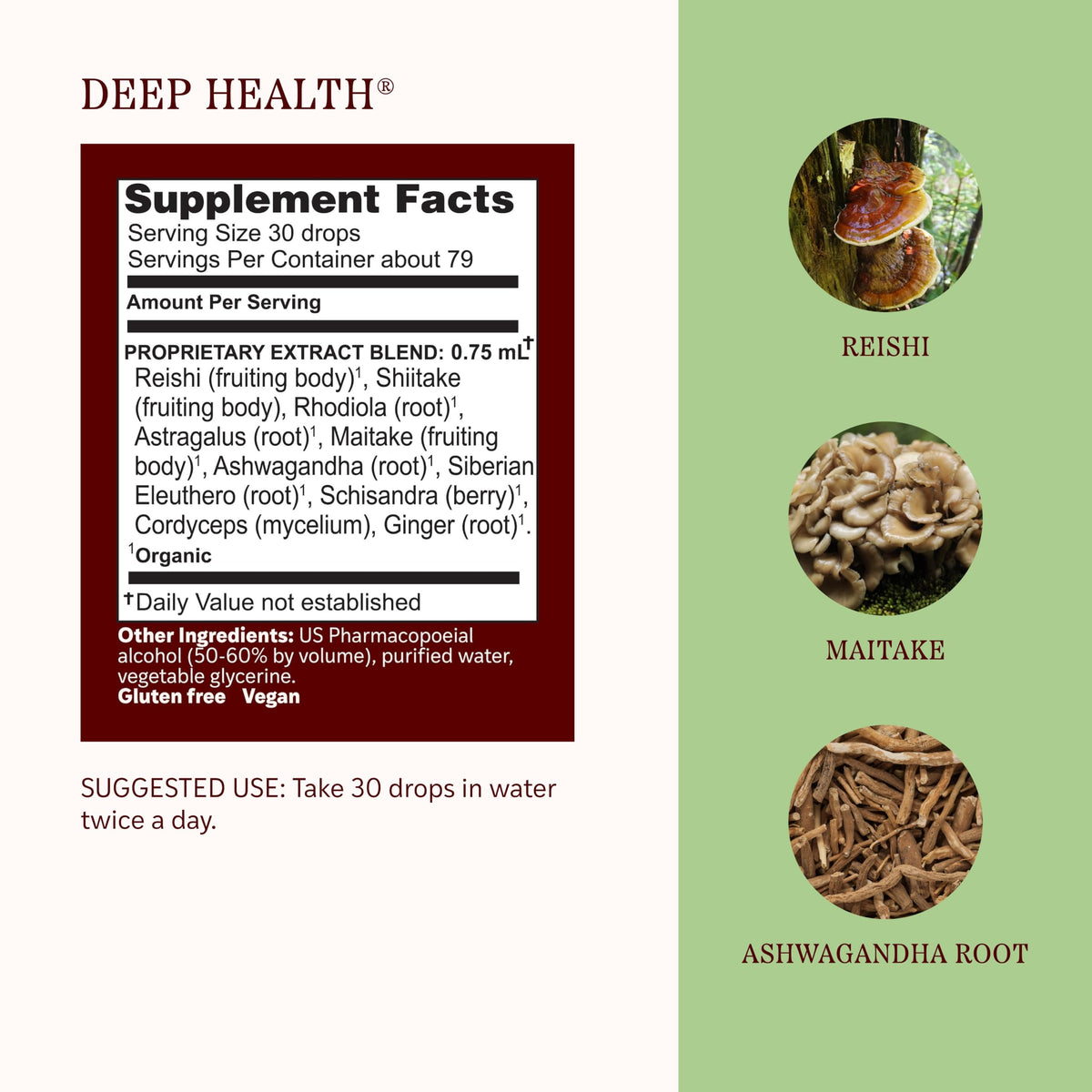 Herbs Etc. Deep Health Classic Liquid Extract Mushroom Complex - 2 fl oz - image 4