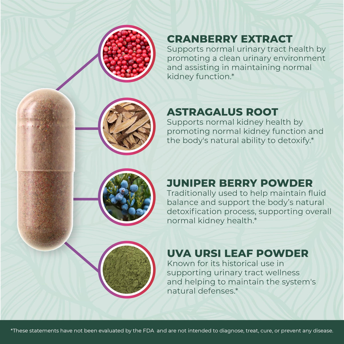 PurePremium Kidney Support Supplement - 120 Capsules - image 5