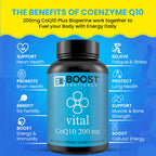 BoostCeuticals CoQ10 200mg Vegan Capsules with BioPerine - 90 Capsules - image 5