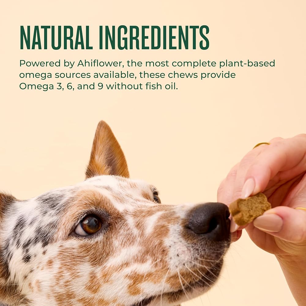 WagWell Ahiflower Plant-Based Omega 3, 6, 9 Chews for Dogs - 60 Count - image 4