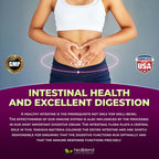 healblend Probiotic Caps Digestive Health & Immune Support - image 8