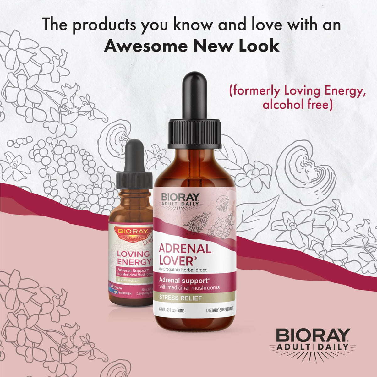 BIORAY Adult Daily Adrenal Lover Kidney Yin Tonic - 2 fl oz - image 3