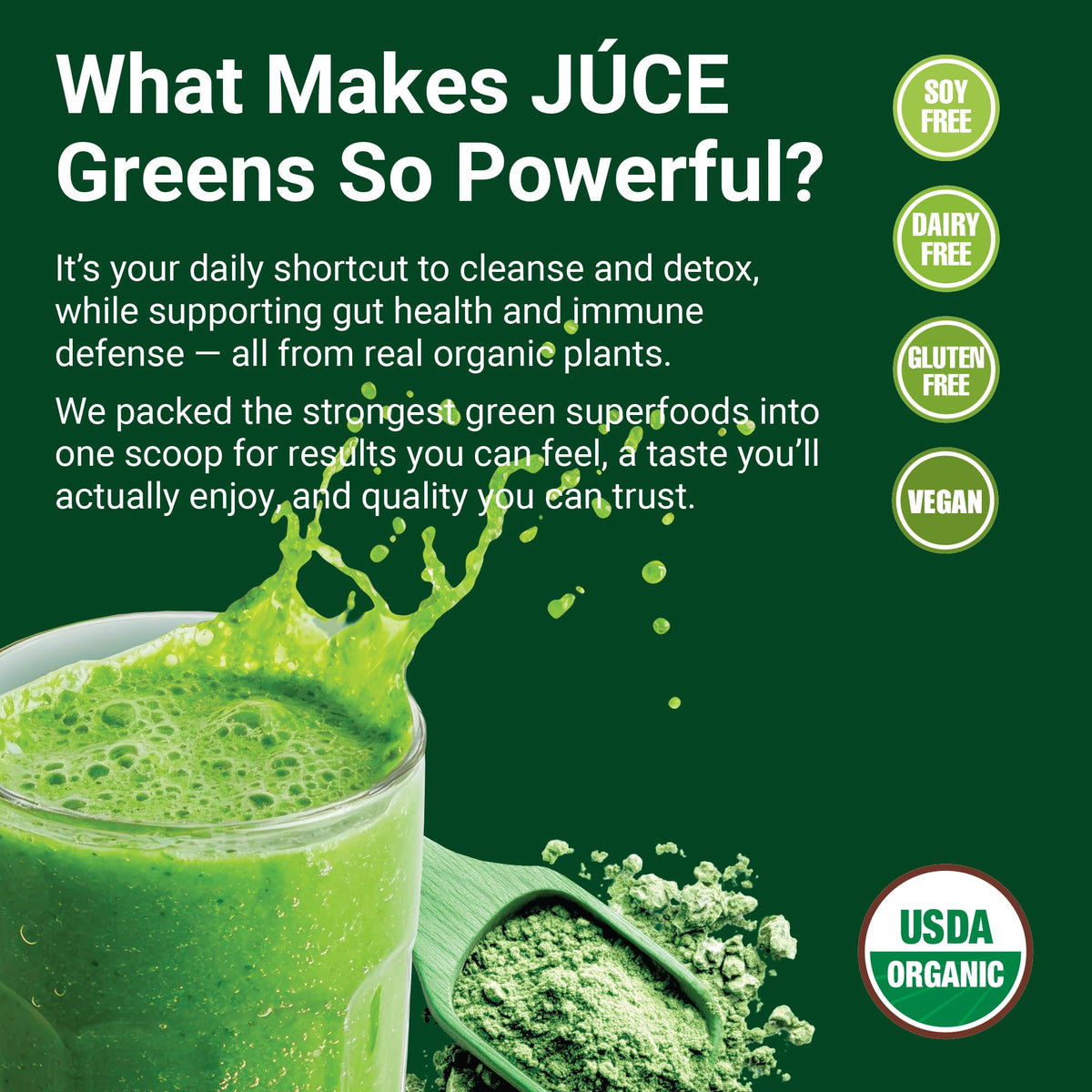 Terra Kai Organics Juice Greens Powder with Mushrooms, Apple - 8.82 oz - image 3