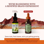 Herbs Etc. Lung Tonic Classic Liquid Extract for Clear Breathing - 1 fl oz - image 2