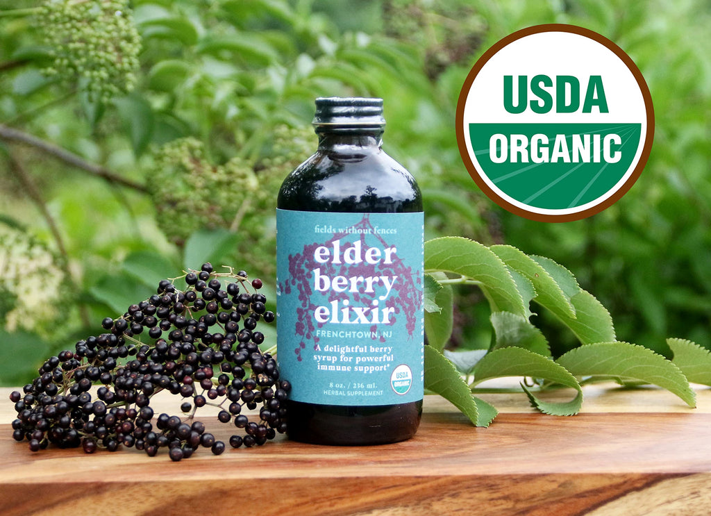 Fields Without Fences Elderberry Elixir Immune Support - 8 oz - image 4