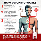 Rescue Detox ICE CAPS Concentrated Cleansing Capsules - 12 Count - image 7