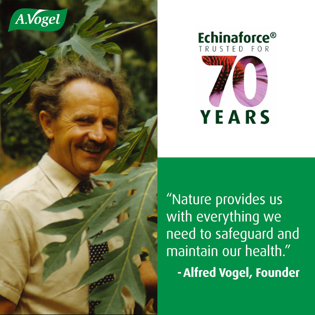 A.Vogel Echinaforce Organic Echinacea Drops - 1.7 oz - image 8