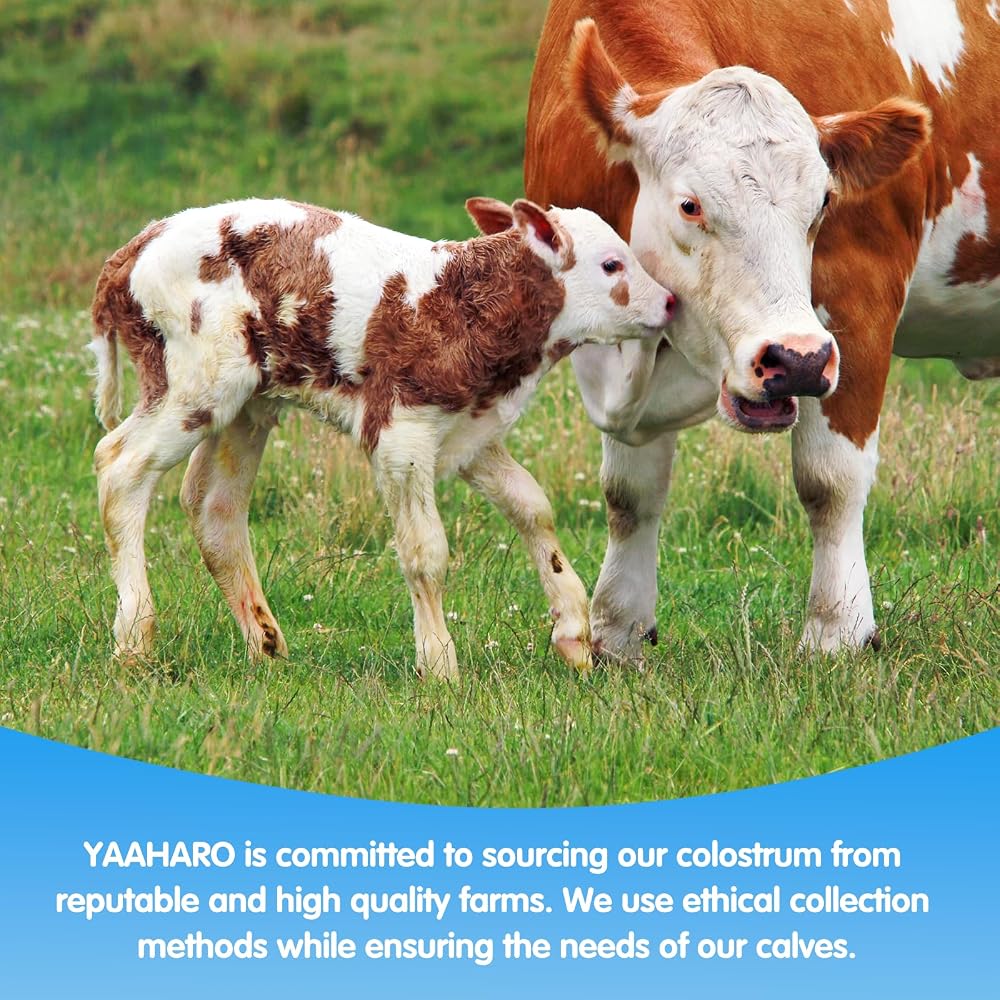 YAAHARO Bovine Colostrum Powder
