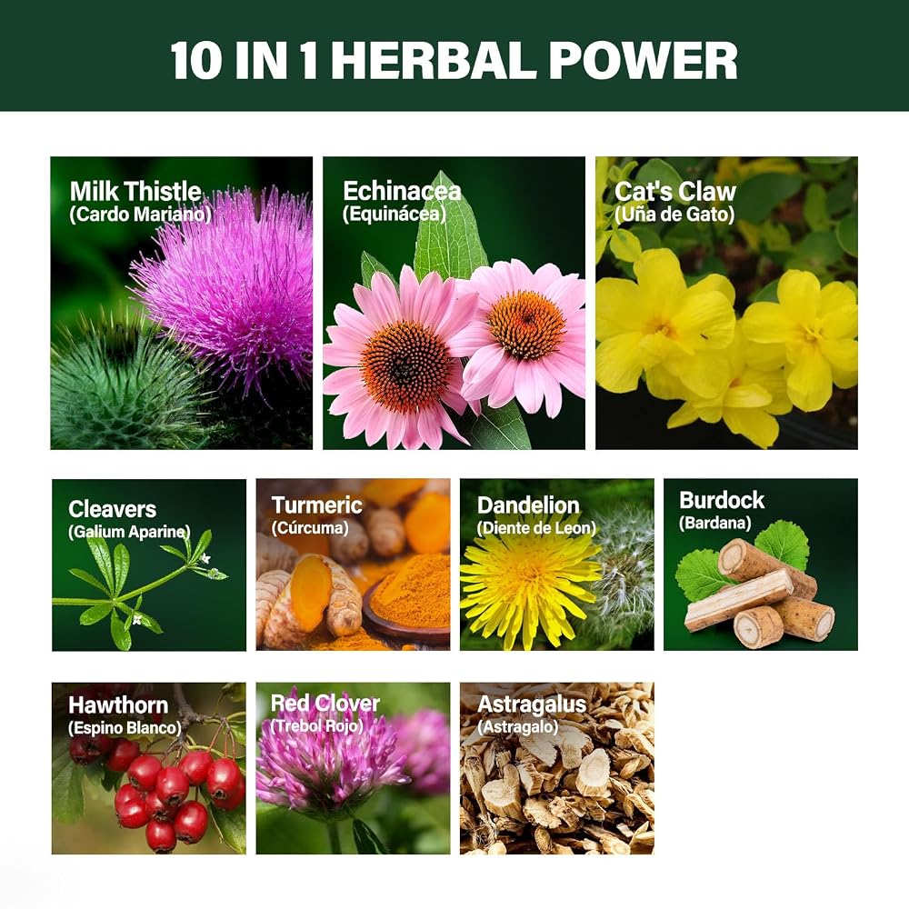 Verdeherb Lymphatic Drainage Drops with Echinacea - 2 Fl Oz - image 3