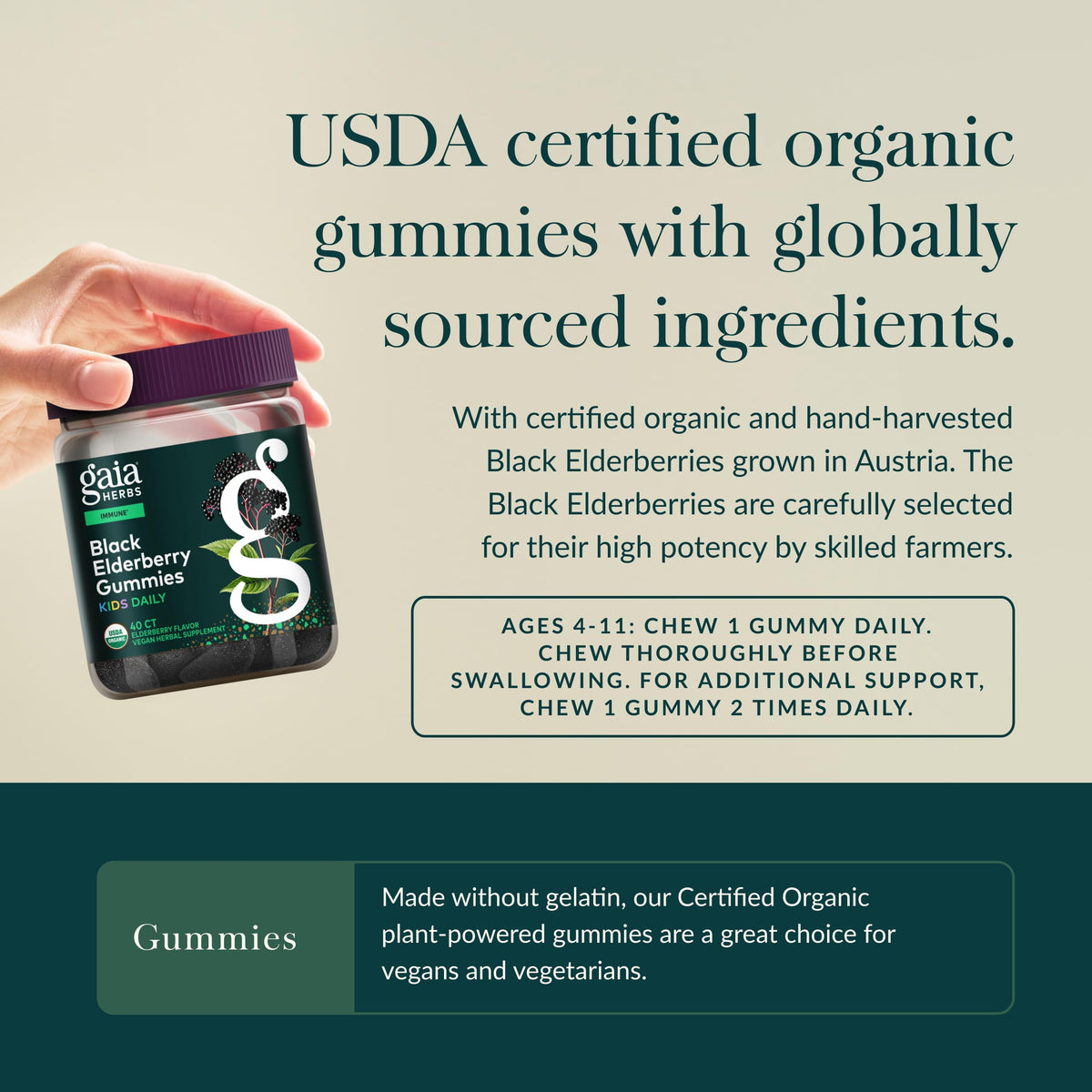 Gaia Herbs Black Elderberry Daily Gummies for Kids - 40 Gummies - image 4
