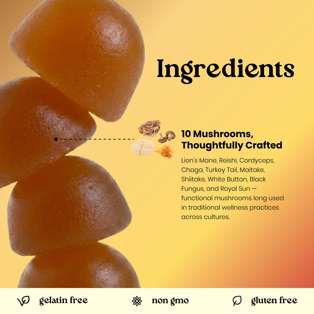 Vita Globe Mushroom Complex Gummies with Lions Mane - 60 Gummies - image 4