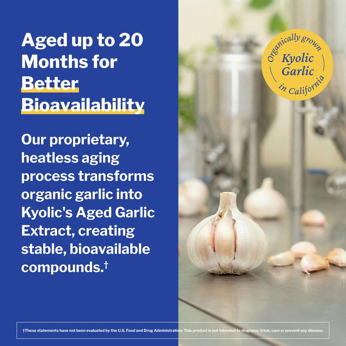 Kyolic Aged Garlic Extract Cholesterol Health Formula 104 - image 6