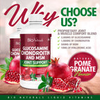 Bio Naturals Glucosamine Chondroitin MSM Liquid Joint Support - 32 fl oz - image 3