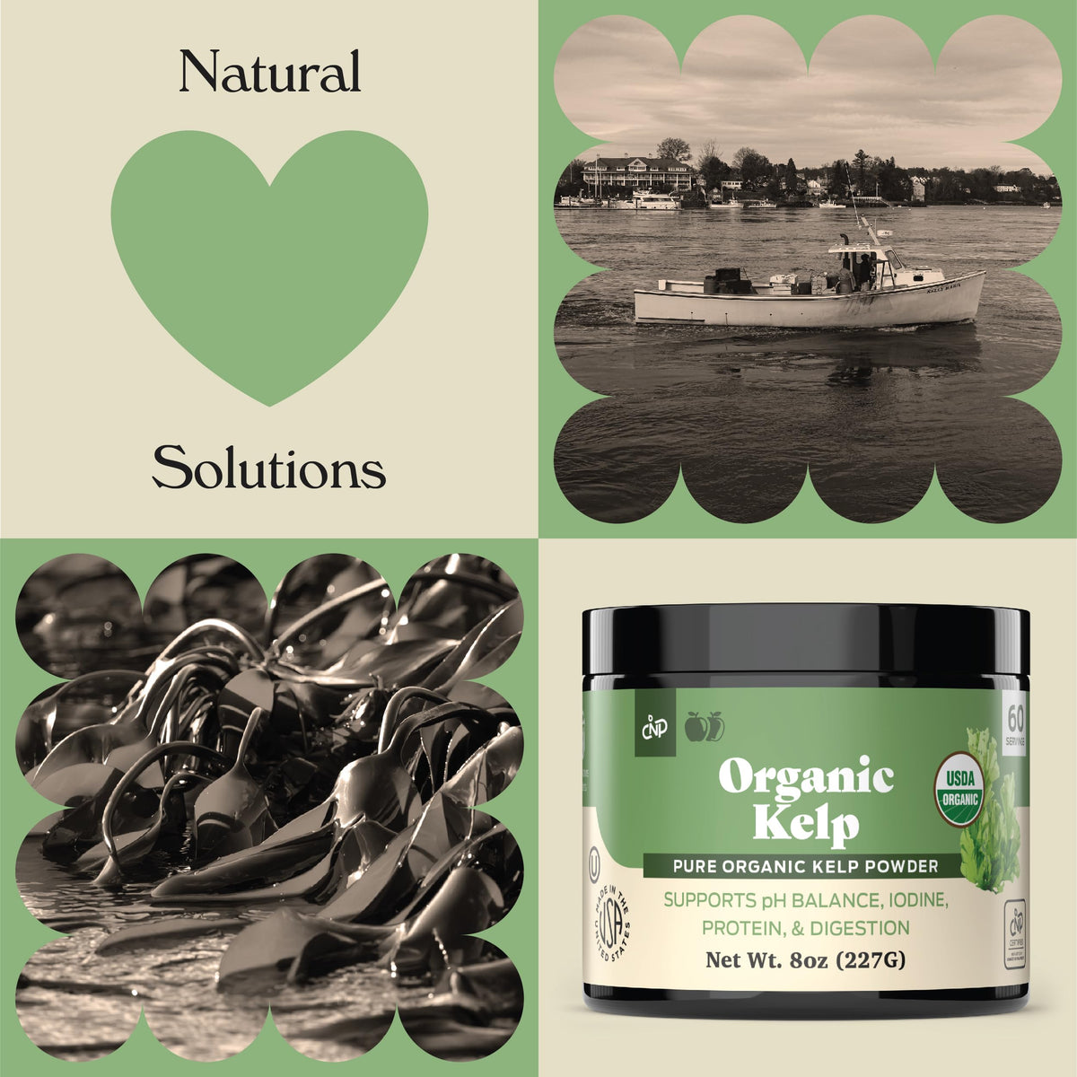 Complete Natural Products Organic Kelp Powder Thyroid Support - 8 oz - image 4