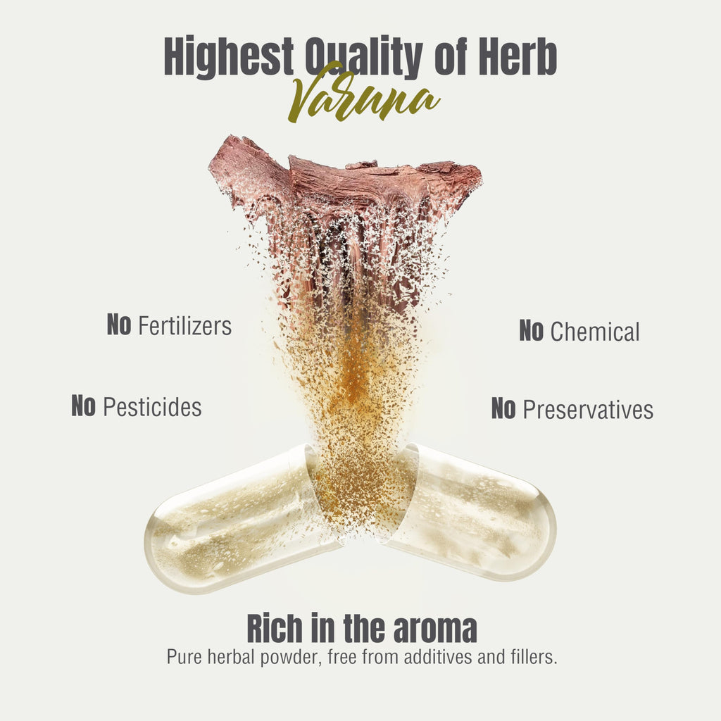 Herbsforever Varuna Extract Capsules for Bladder & Kidney - 60 Capsules - image 9