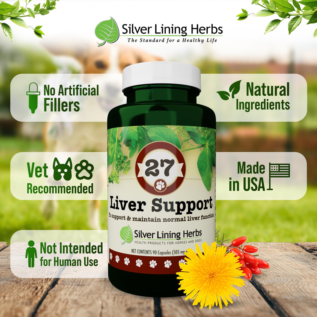 Silver Lining Herbs Dog Liver Support Supplement with Milk Thistle - 90 Capsules - image 5