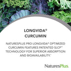 NaturesPlus PRO Longvida Curcumin Antioxidant - 60 Lozenges - image 2