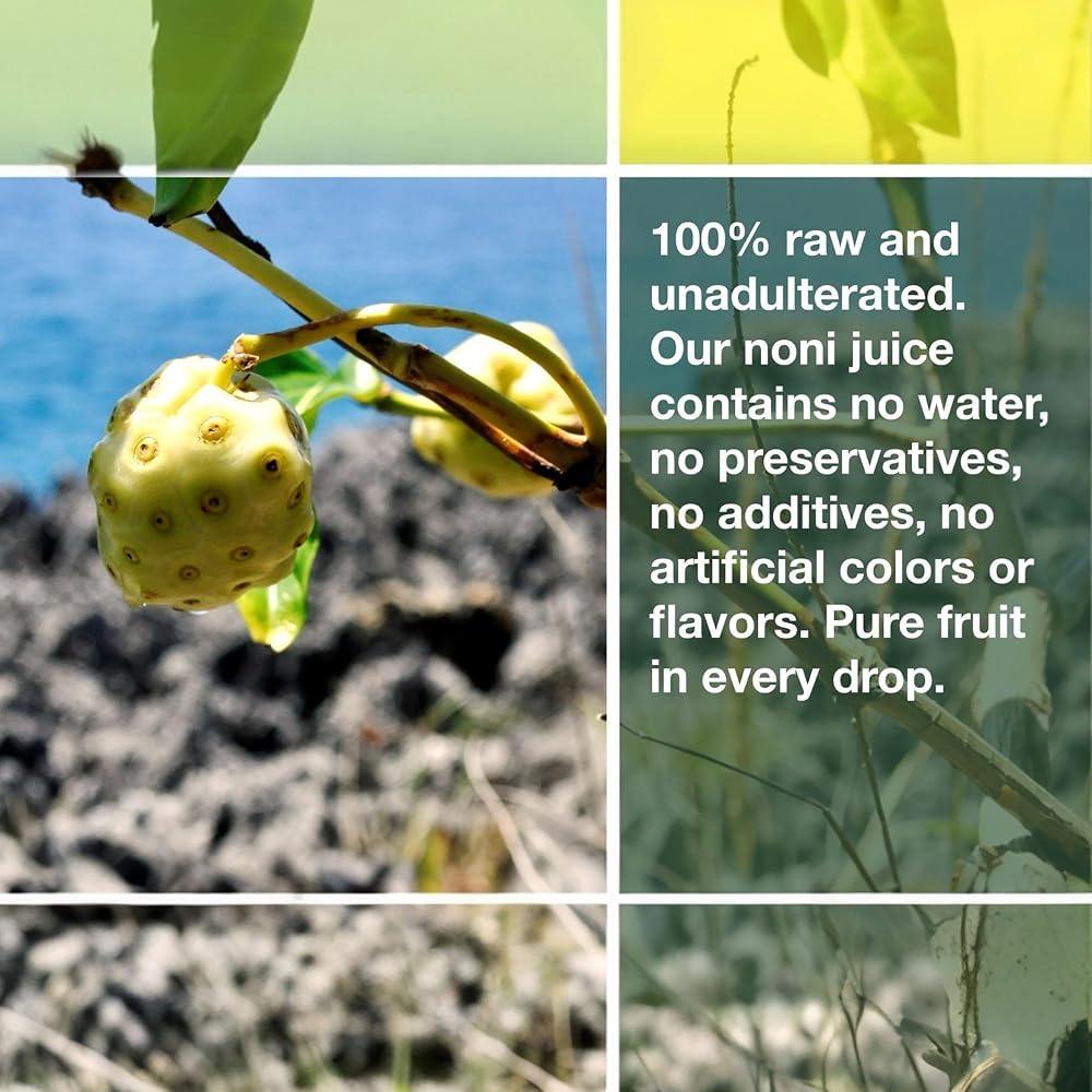 Frutos Pachamama Organic Noni Juice 100% Pure - 4 x 16 Fl Oz - image 4
