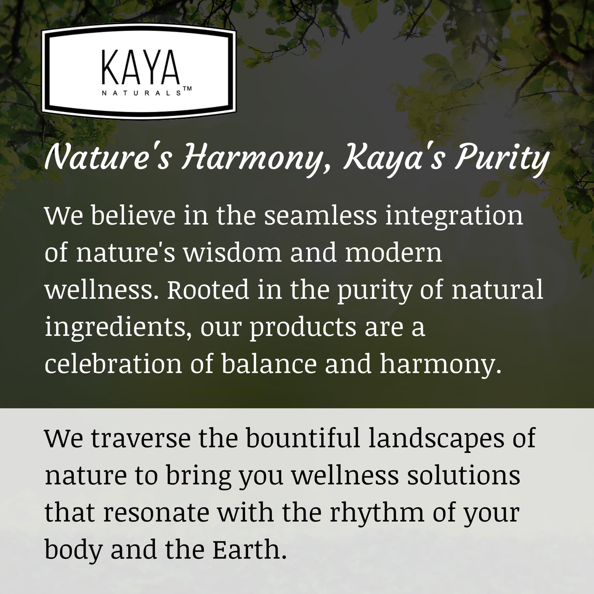 Kaya Naturals Collagen Gummies for Men & Women - Collagen Supplement