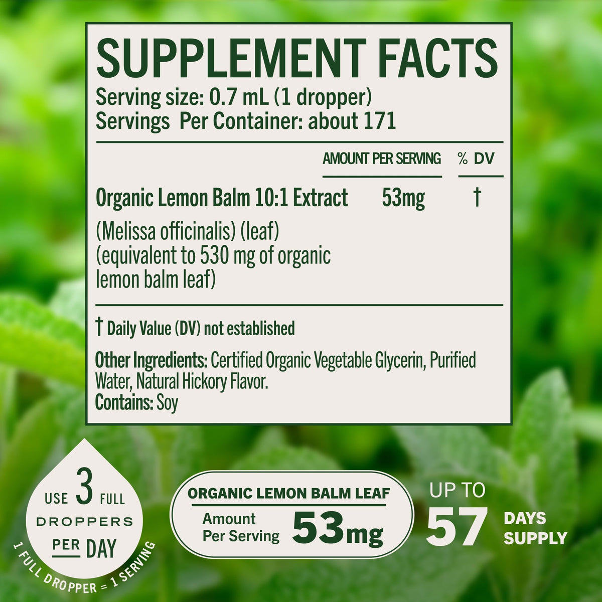HERBAMAMA Organic Lemon Balm Tincture for Relaxation - 4 oz - image 4