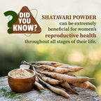 VEDAPURE Organic Shatavari Powder 100% Pure Root - 3.53 oz - image 7