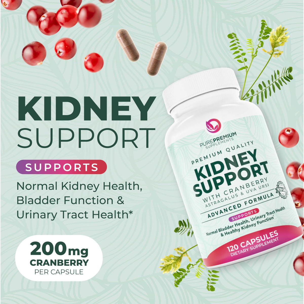 PurePremium Kidney Support Supplement - 120 Capsules - image 2
