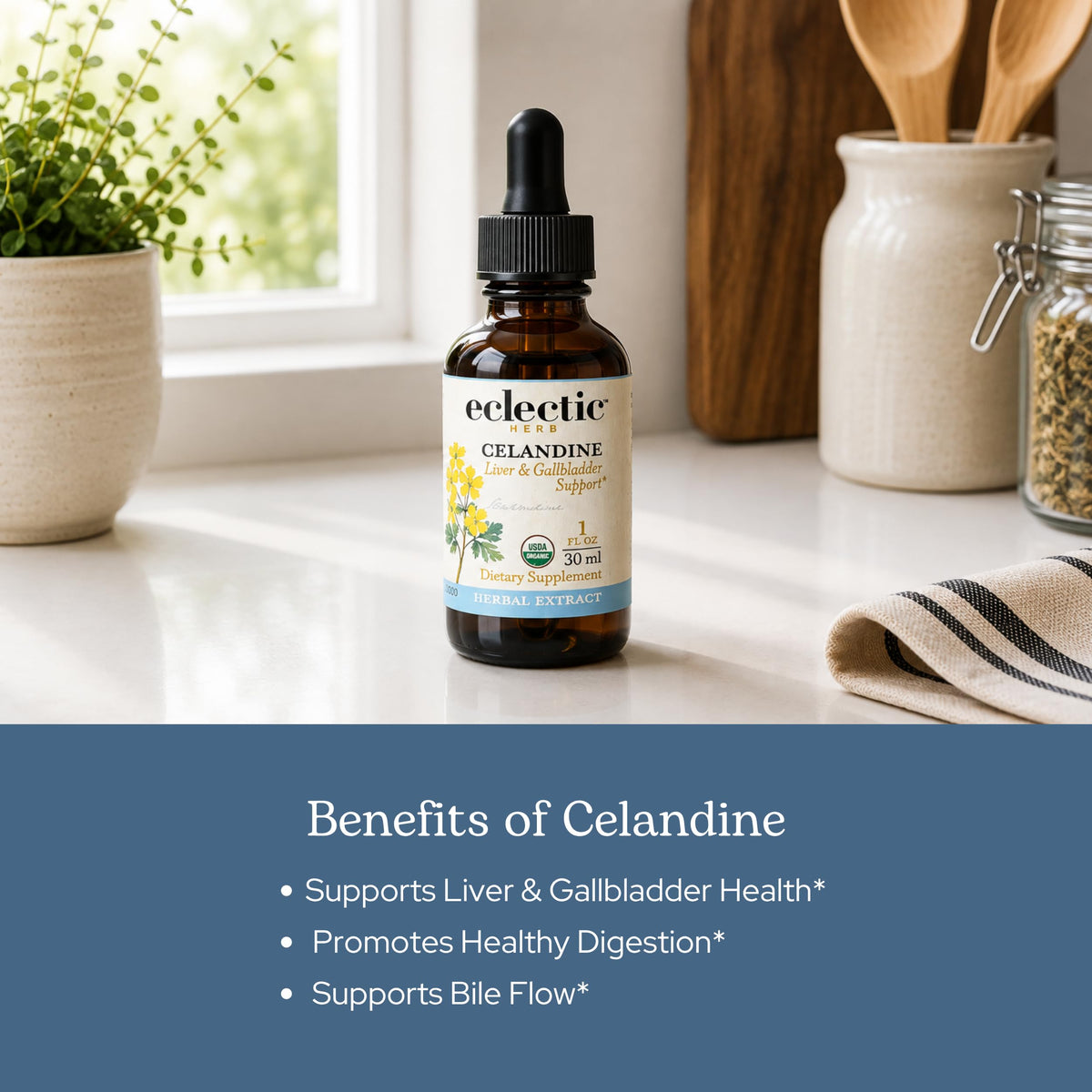 Eclectic Institute Celandine Extract Liver & Gallbladder Support - 2 fl oz - image 4