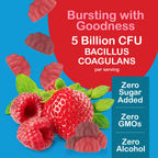 YUM-V'S Sugar Free Probiotic Gummies 5 Billion CFU - 60 Count - image 4