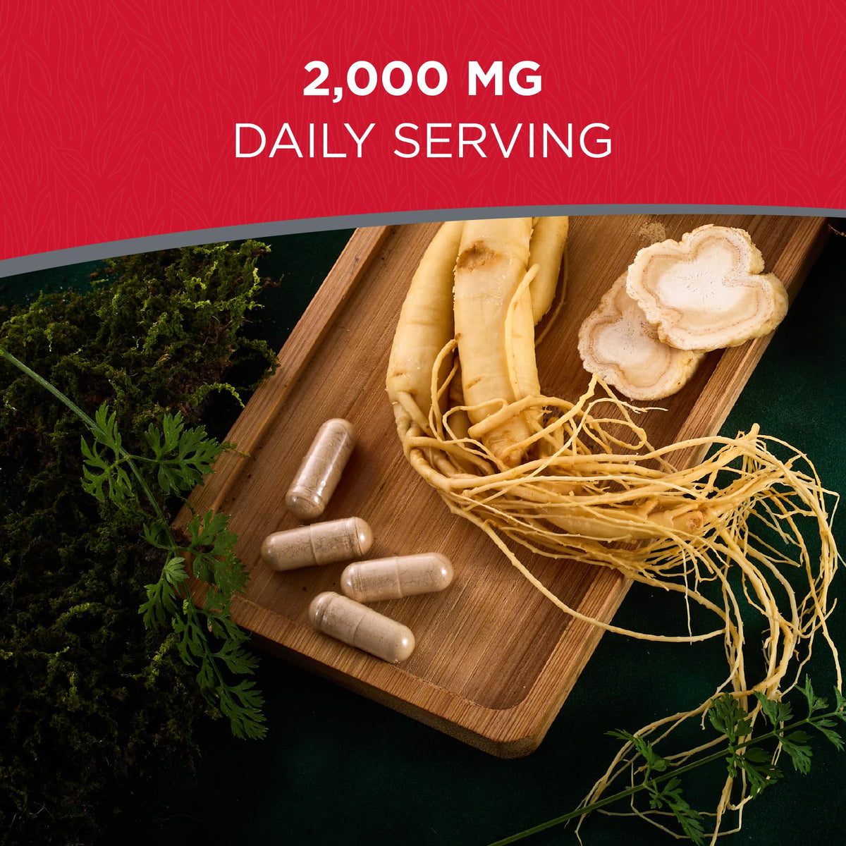 Dairyland Management LLC American Ginseng Capsules - 500 mg Wisconsin