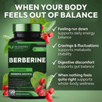 DR. MARTIN'S NUTRITION Berberine 1200mg - 120 Capsules - image 2