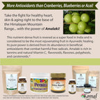 AyurBest Amalaki Herbal Supplement 500mg Organic - 90 Capsules - image 6