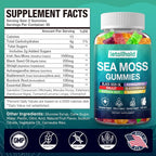 letollhold Sea Moss Gummies - Irish Sea Moss Gummies Advanced