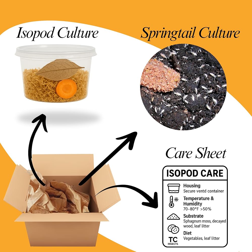 TC INSECTS Bioactive Combo Isopods & Springtails - 25 Count - image 2