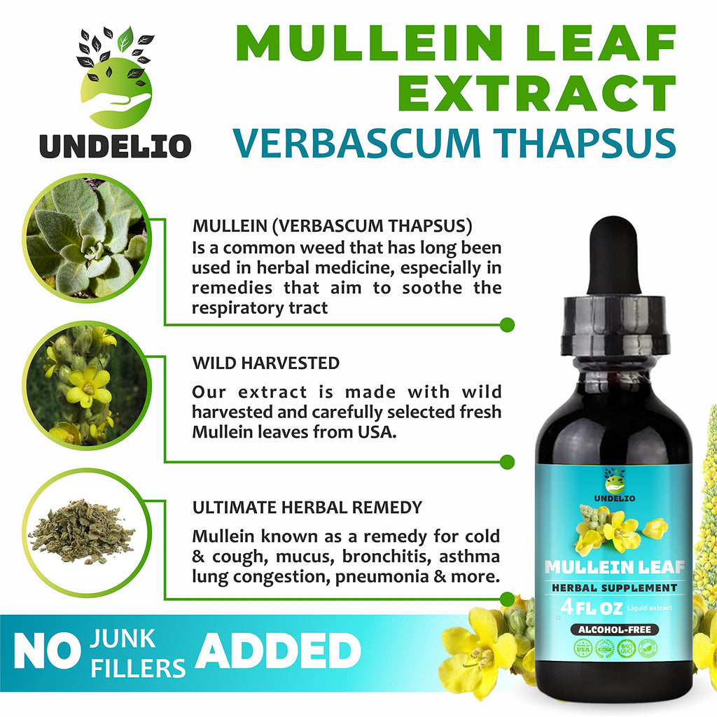 Undelio Herbal Mullein Leaf Extract Tincture - 4 fl. Oz - image 4