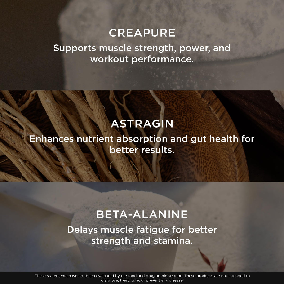 The Genius Brand Genius Micronized Creatine Monohydrate Powder