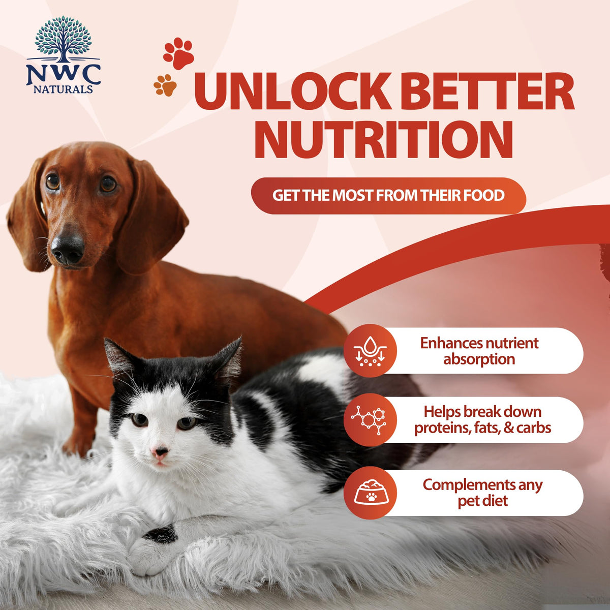 NWC Naturals Total-Zymes Digestive Enzymes for Dogs and Cats - 8 oz - image 3