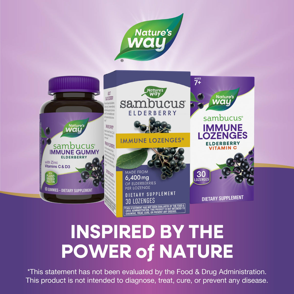 Nature's Way Sambucus Immune Elderberry Lozenges - 30 Lozenges - image 6
