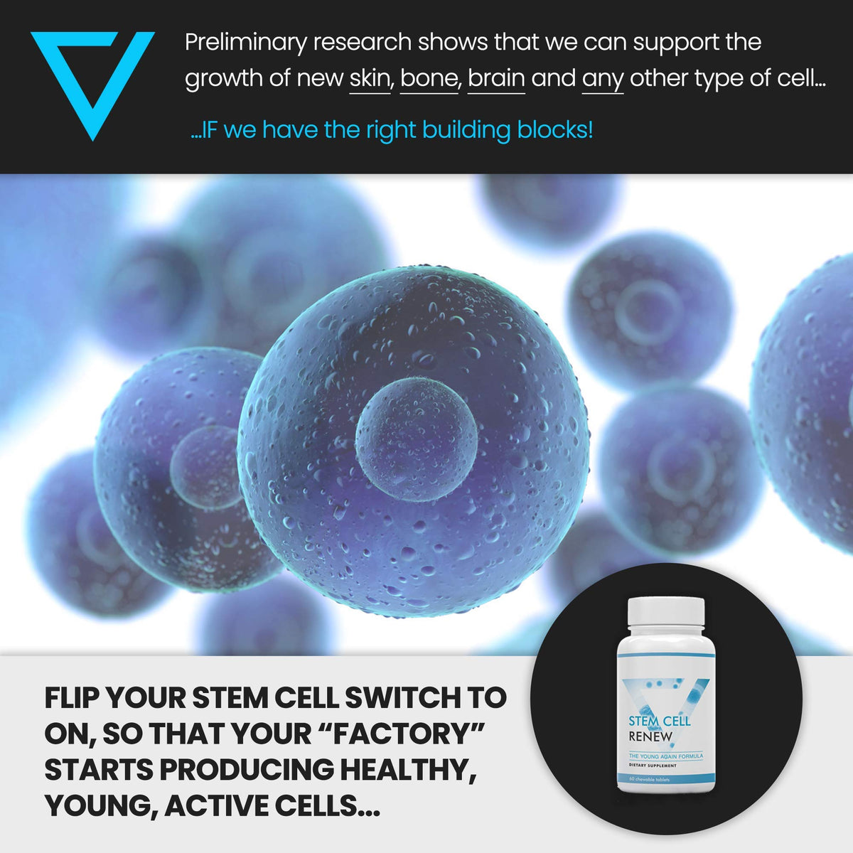 Vitality Now Stem Cell Renew Supplement - 60 Capsules - image 5