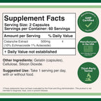 Double Wood Cistanche Tubulosa 500mg Male Vitality - 120 Capsules - image 2