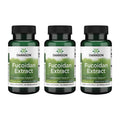 Swanson Maximum Strength Fucoidan Extract Immune Support Supplement
