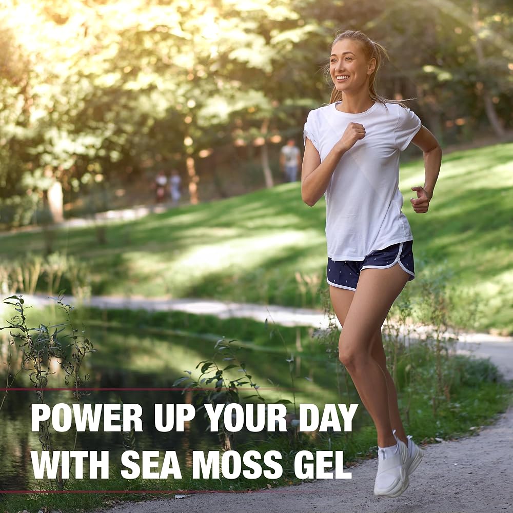 Biolore Elderberry Sea Moss Gel Wildcrafted - 16 Fl Oz - image 5
